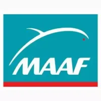 Maaf